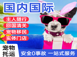 昌北机场托运国际宠物托运 【国